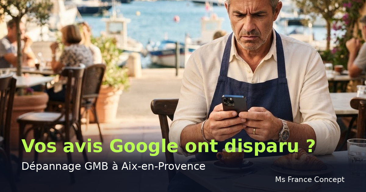 Dépannage Google My Business à Aix-en-Provence : Avis supprimés — Ms France Concept