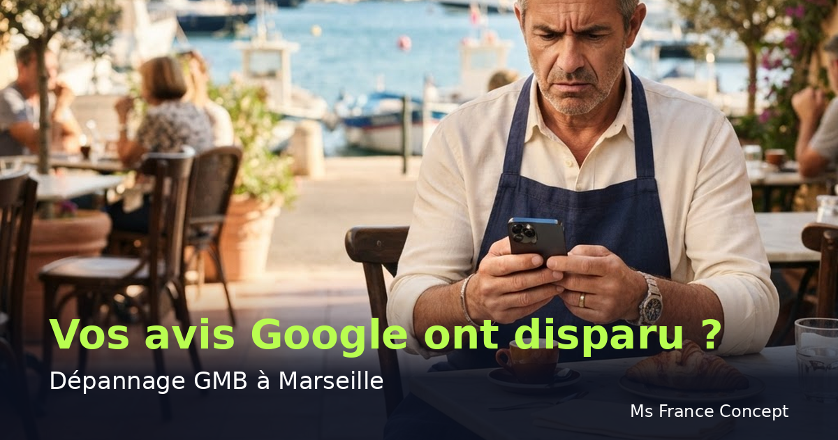 Dépannage Google My Business à Marseille : Avis supprimés — Ms France Concept